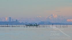 Vogata al mattino in laguna (02/2013)
