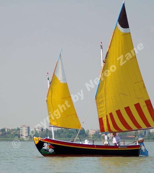 Regata di vela al terzo