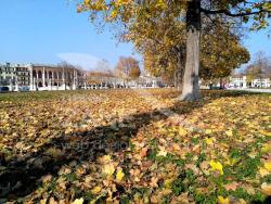 Autunno in Prato della Valle - PD