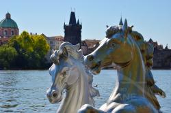 La bissona Cavalli sulle acque della Moldova - Praga - Navalis 2018
