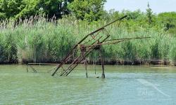 Il mostro del Canale Bonelli - Scardovari (Ro)