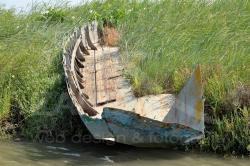 Relitto in barena al Passo Campalto - Laguna di Venezia