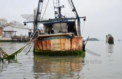 Motopesca abbandonato in Canal Salso (11/2020)