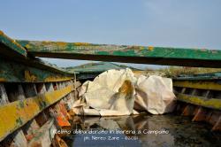 Relitto abbandonato in barena a Campalto (Ve) - ph. Nereo Zane ©2021