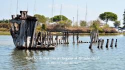 Laguna di Grado - Relitto di burcio (ripreso il 08/2022)