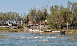 Relitto di batelòn - Laguna di Grado - 08/2022