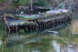 Bateo sabionante 'Sergio' a Forte Marghera bloccato nel fango - Feb. 2023 (1/4)