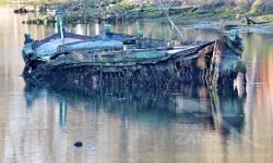 Bateo sabionante 'Sergio' a Forte Marghera bloccato nel fango - Feb. 2023 (2/4)