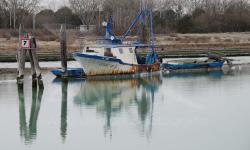 Motopesca abbandonato in Canal Salso (02/2012)