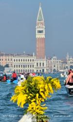 XXV Regata delle Donne - 9/03/2025